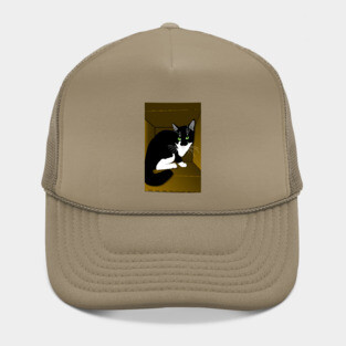 Cute Tuxedo Cat Cat in a box Copyright TeAnne Hat