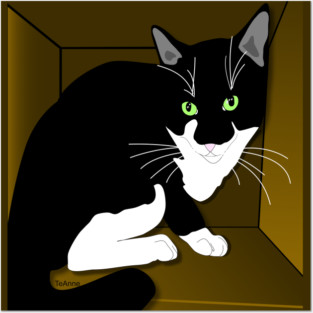 Cute Tuxedo Cat Cat in a box Copyright TeAnne Posters and Art