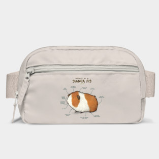 Anatomy of a Guinea Pig Bag