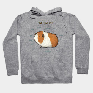 Anatomy of a Guinea Pig Hoodie