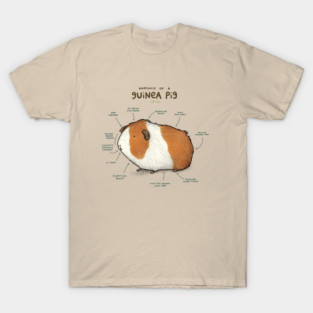 Anatomy of a Guinea Pig T-Shirt