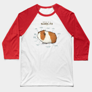Anatomy of a Guinea Pig Baseball T-Shirt
