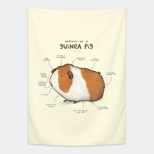 Anatomy of a Guinea Pig Tapestry