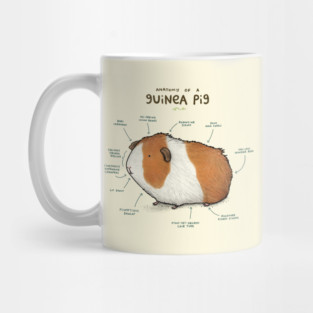 Anatomy of a Guinea Pig Mug