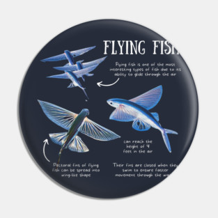Animal Facts - Flying Fish Pin