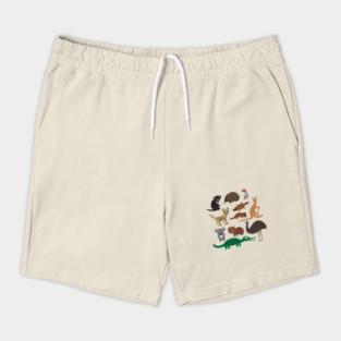 Australian Animals 2 Shorts