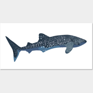 Whale Shark Posters and Art
