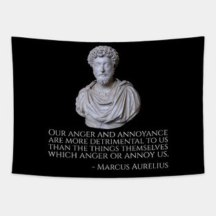 Our anger and annoyance are more detrimental to us than the things themselves which anger or annoy us. - Marcus Aurelius Tapestry