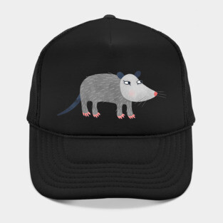 Possum Hat