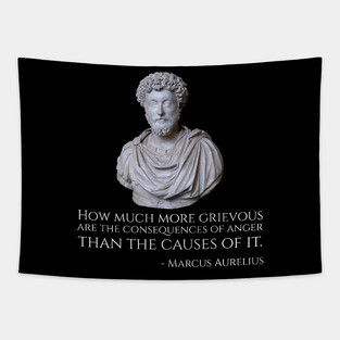 How much more grievous are the consequences of anger than the causes of it. - Marcus Aurelius Tapestry