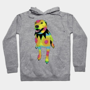 Grateful Dawg Tie-Dye Hoodie