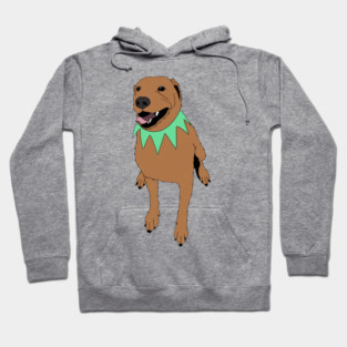 Grateful Dawg Orange Hoodie