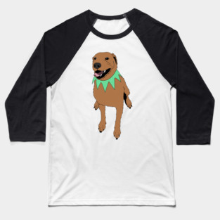 Grateful Dawg Orange Baseball T-Shirt