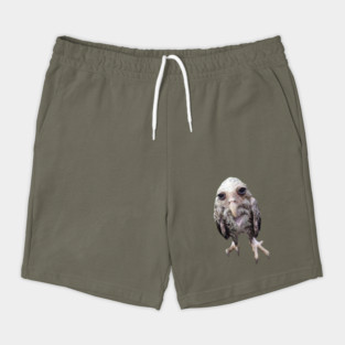 Wet owl Shorts
