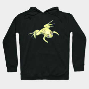 Weird Frog With Funny Eyelashes Digital Art Hoodie