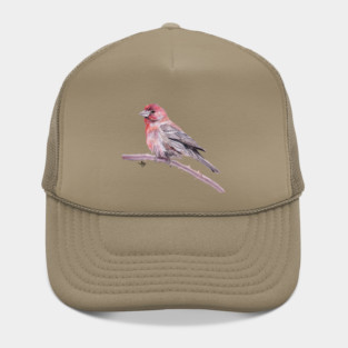 House Finch Watercolor Hat