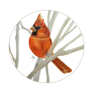 Cutest Ambushed Cardinal T-Shirt