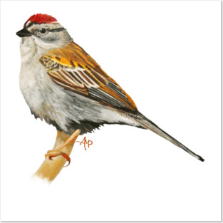 Colorful Chipping Sparrow Posters and Art