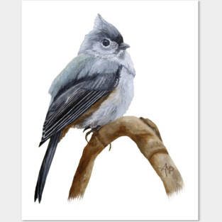 Cute Tufted Titmouse Posters and Art