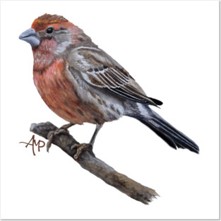 Eager For Winter Posters and Art