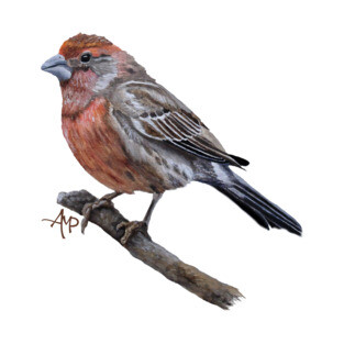 Eager For Winter T-Shirt