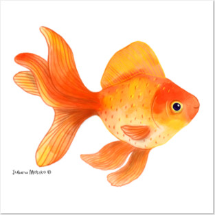 Goldfish Posters and Art