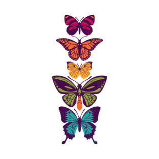 Butterfly Spectrum T-Shirt