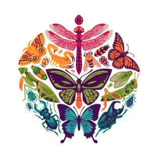 Bugs & Butterflies T-Shirt