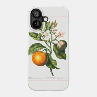 Bitter Orange Phone Case