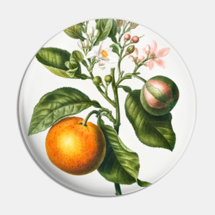 Bitter Orange Pin