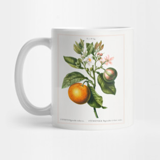 Bitter Orange Mug