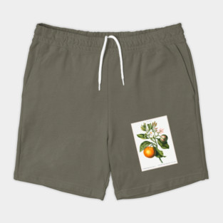 Bitter Orange Shorts