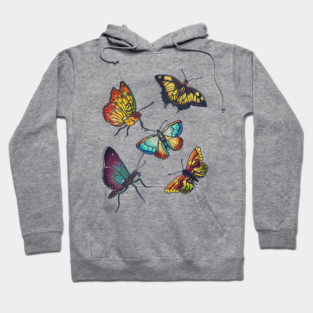 Butterflies and Moths Hoodie