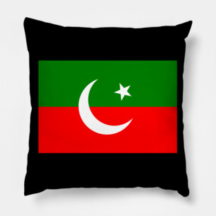 PTI Flag Pillow