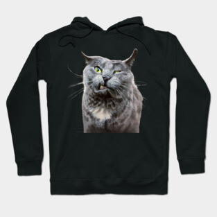 Angry Grey Cat Selfie Hoodie