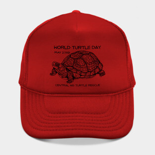 World Turtle Day - Eastern Box Turtle Hat