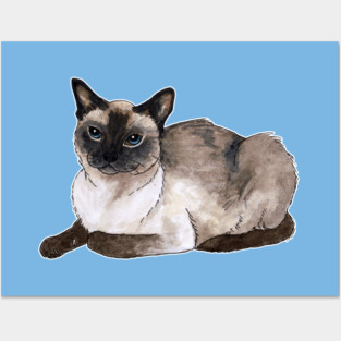 Siamese cat Posters and Art