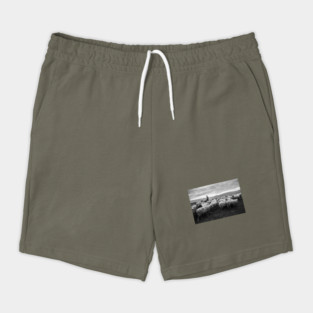 Shepherd Shorts