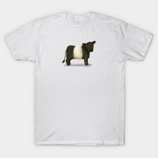 Belted Galloway Cattle T-Shirt