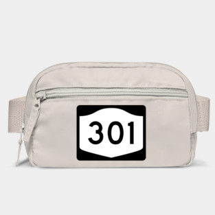 Rte 301 Putnam County New York Bag