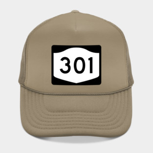 Rte 301 Putnam County New York Hat