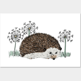 Hedgehog Posters and Art