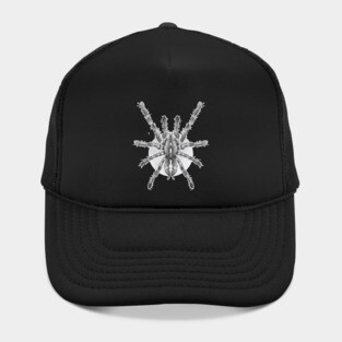 tarantula Hat