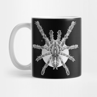 tarantula Mug