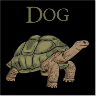 turtle dog Posters and Art