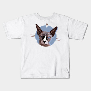 Angry Sphynx Cat Kids T-Shirt