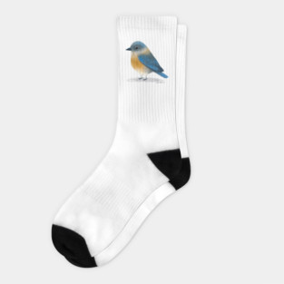 Eastern Bluebird Socks