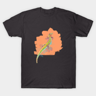 Desert Colors - Lizard Illustration T-Shirt
