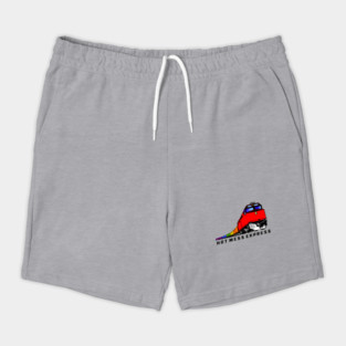 Hot Mess Express Shorts