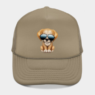 Cute Puppy Dog Wearing Sunglasses Hat